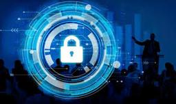 Security Consultancy